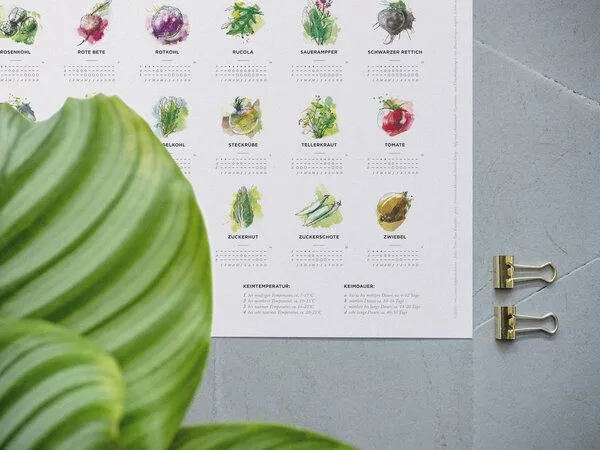 531 Rheinland Design 531 Rheinland Design Pflanzkalender und Aussaatkalender für den Garten – Produktbild 2 von 4