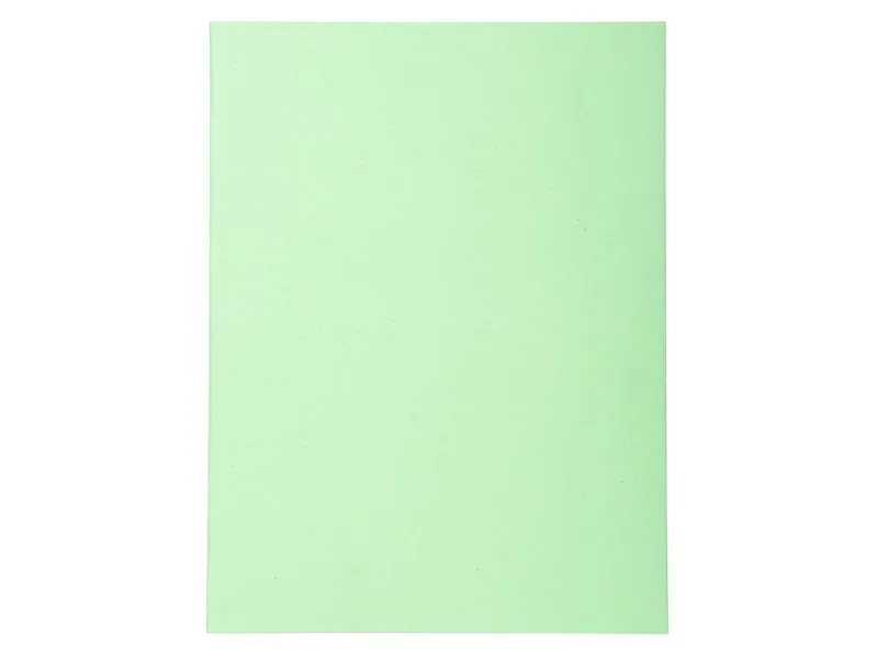 Exacompta 5 x 100 Exacompta Aktendeckel "Forever", 220 g/m², DIN A4, grün – Produktbild 1 von 1