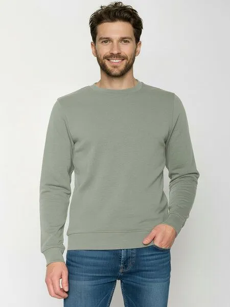 GreenBomb GREENBOMB Basic Wild - Gemütliches Sweatshirt aus Bio-Baumwolle / GOTS / Fair & Vegan, Grau (moos mint), – Produktbild 1 von 4
