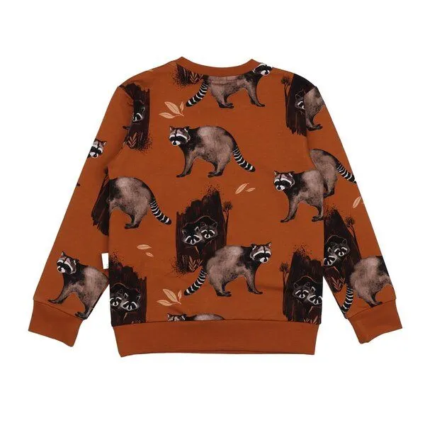 Walkiddy Walkiddy Kinder Sweatshirt GOTS zertifiziert, 95% Bio-Baumwolle, braun, Waschbär-Muster, weich & bequem, Braun, – Produktbild 3 von 3