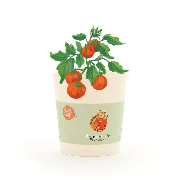 Die Stadtgärtner Die Stadtgärtner Tigertomaten-Anzuchtset – Produktbild 1 von 3