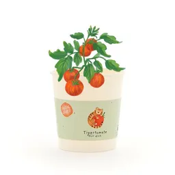 Die Stadtgärtner Die Stadtgärtner Tigertomaten-Anzuchtset als lustiges Geschenk | Nachhaltige Geschenkidee für Geburtstage, Dankeschön & Aufmunterung – Produktbild 1 von 1