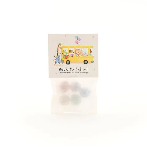 Die Stadtgärtner Die Stadtgärtner Blumenmurmeln zum Schulstart "Bus" | 5 bunte Blumenmurmeln im Pergamintütchen (ca. 10 x 5 cm) | mit niedlichem, kindgerechten Motiv | Kreative Geschenkidee für Kinder, Schule & Schulalltag – Produktbild 1 von 1
