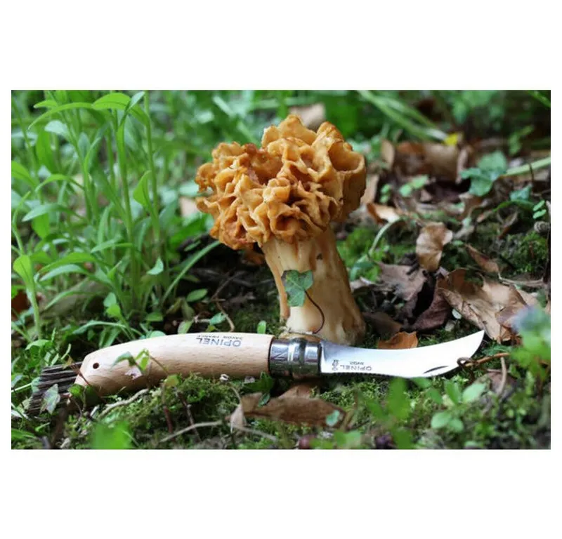 OPINEL OPINEL Pilzmesser mit Wildschweinborsten, Nr. 08, Buche, rostfrei – Produktbild 4 von 5