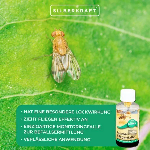 Silberkraft Silberkraft Silence Fruchtfliegenfalle – Produktbild 4 von 4