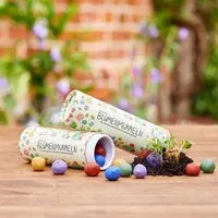 Die Stadtgärtner Die Stadtgärtner Blumenmurmeln das Original in der Dose I 25 handgemachte & kunterbunte Samenbomben mit Blumen-Saatgut I Geschenk Kinder & Kids I Mitgebsel Kindergeburtstag I 100% ökologisch & min. 2 J. haltbar – Produktbild 1 von 1