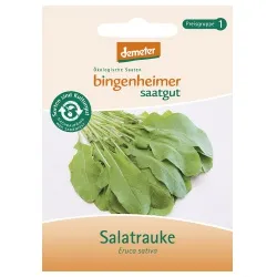 Bingenheimer Saatgut Rucola / Salatrauke – Produktbild 1 von 1