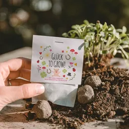 Ideenverlag Hamburg Ideenverlag Hamburg 10 Glück to grow Samenbomben im Tütchen mit Wildblumensaatgut | Nachhaltiges Geschenk für Freude, Aufmunterung & gute Wünsche – Produktbild 1 von 1