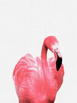 Photocircle Photocircle Poster / Leinwandbild - Flamingo – Produktbild 1 von 1