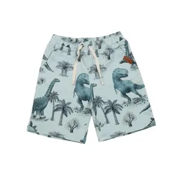 Walkiddy Kinder Shorts GOTS zertifiziert Bio-Baumwolle, Grün, Dinosaurier-Muster, Walkiddy – Produktbild 1 von 1