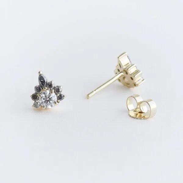 Eppi Eppi Ohrringe mit Moissaniten und Salt and Pepper Diamanten Kruno, Gold, – Produktbild 1 von 4