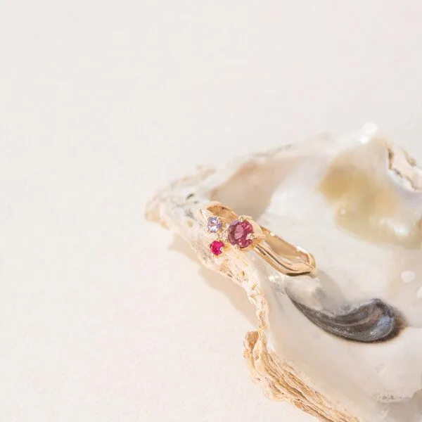 Eppi Eppi Cluster-Ring mit Turmalin, Tansanit, Rubin und einem Diamanten Roche, Weiss, – Produktbild 2 von 4