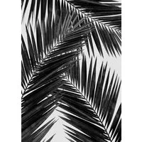 Photocircle Photocircle Wandbild / Kunstdruck / Poster / Leinwand - Palm Leaf Black & White III – Produktbild 1 von 1