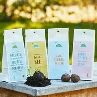 Die Stadtgärtner Die Stadtgärtner 20 Seedbombs I Set mit 4 Sorten Samenbomen | Min. 2 Jahre haltbar – Produktbild 1 von 1
