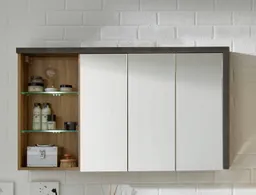 welltime Spiegelschrank Bilbao Badezimmerschrank mit 2 Glasböden und 9 Fächern - (B/T/H) 123/18/71 cm – Produktbild 1 von 1