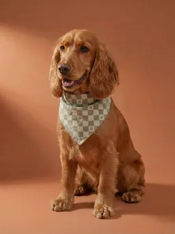 Vertbaudet Bandana für Hunde aus Baumwolle – Produktbild 1 von 1