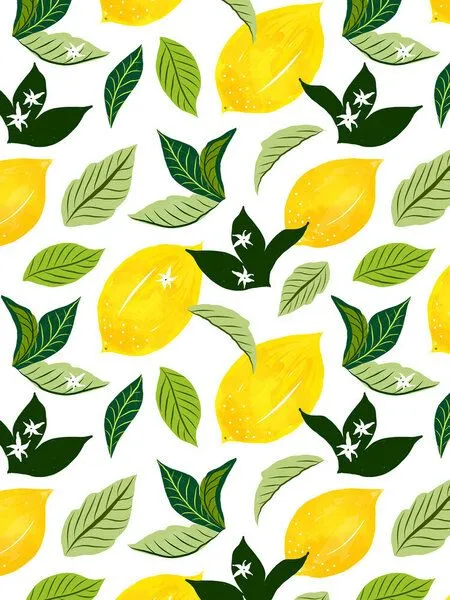 Photocircle Photocircle Poster / Leinwandbild - Lemona – Produktbild 1 von 4