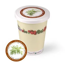 MacFlowers MacFlowers Blumen im Becher TO GROW - Dill – Produktbild 1 von 1