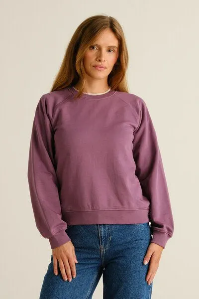 Dedicated DEDICATED Sweatshirt Ystad Base - aus Bio-Baumwolle, Berry purple (lila), – Produktbild 1 von 3