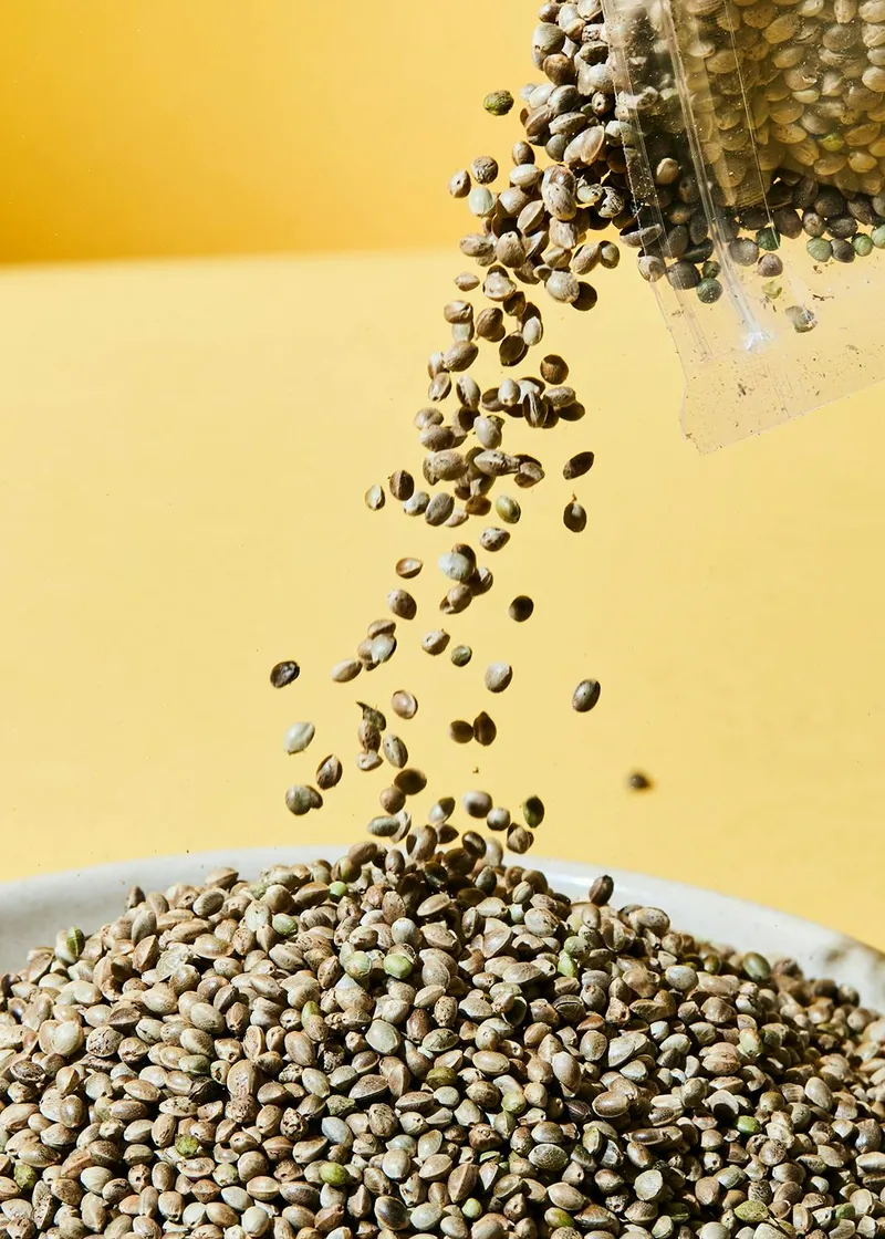 KoRo Ungeschälte Bio Hanfsamen 1 kg – Produktbild 4 von 5