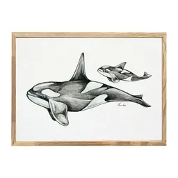 LIGARTI Kunstdruck »Orcas« von LIGARTI | A4, A3 oder A2 | Wandbild | Poster | Kunst – Produktbild 1 von 1
