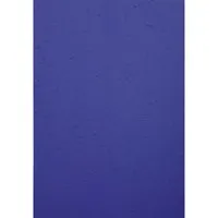 Exacompta 100 Exacompta Eindbanddeckel "Forever", 270 g/m², DIN A4, dunkelblau – Produktbild 1 von 1