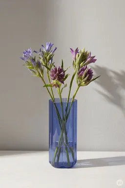 Tranquillo TRANQUILLO Vase RAIINBOW – Produktbild 1 von 1