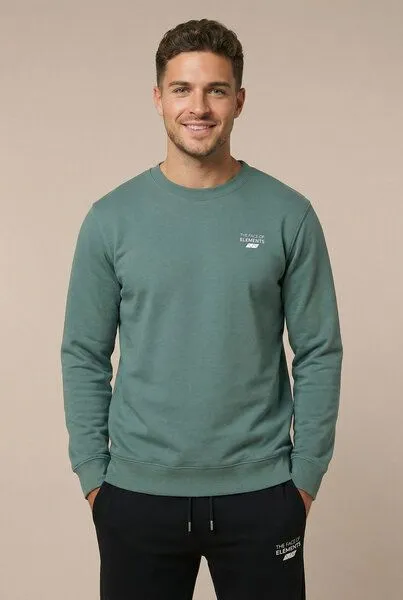 THE FACE OF ELEMENTS The Face of Elements Element - Regular Fit Sweatshirt aus 100% Bio-Baumwolle, Green bay (grün), – Produktbild 3 von 3