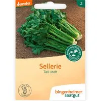 Bingenheimer Saatgut bingenheimer saatgut Bio-Samen Sellerie "Tall Utah", 1 Stk. – Produktbild 1 von 1