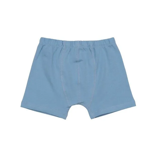 Walkiddy Walkiddy Boxershorts Hellblau Bunter Drache-Allover Bio-Baumwolle GOTS – Produktbild 3 von 3
