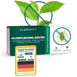 Silberkraft Silberkraft Florfliegenlarven gegen Blattläuse, Woll- & Schmierläuse, Spinnmilben, Thripse & weiße Fliegen – Produktbild 1 von 1