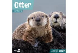 Ackermann Wandkalender Otter Kalender 2027 - 30x30 - Art12 – Produktbild 1 von 1