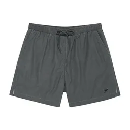 Iriedaily Iriedaily Ghostmode Hybrid Short – Produktbild 1 von 1