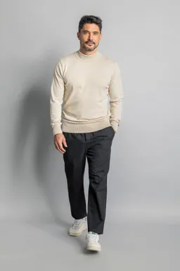 DIRTS DIRTS Herren vegan Strickpullover Mit Stehkragen Cashew Beige – Produktbild 1 von 1
