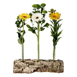Kork-Deko Kork-Deko Korkrinde als Blumen-Vase mit 3 Reagenzgläsern – Produktbild 1 von 1