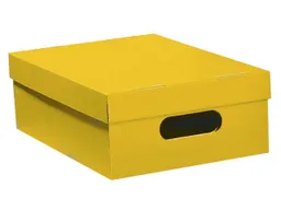 Aufbewahrungsbox "Color" aus Recyclingkarton, klein 24 x 32 x 11,5 cm, gelb – Produktbild 1 von 1