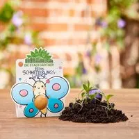 Die Stadtgärtner Die Stadtgärtner bunte Blumenmurmel das Original | "Ellas Duftgarten": 1 große hangerollte Samenbombe mit Wildblumen-Saatgut – Produktbild 1 von 1