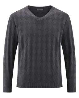 HempAge Hempage Herren vegan Pullover Mit V-Ausschnitt Anthrazit – Produktbild 1 von 1