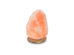 Wagner Life Design Salzkristalllampe mit USB-Anschluss "Rock" Höhe ca. 10 cm – Produktbild 1 von 1