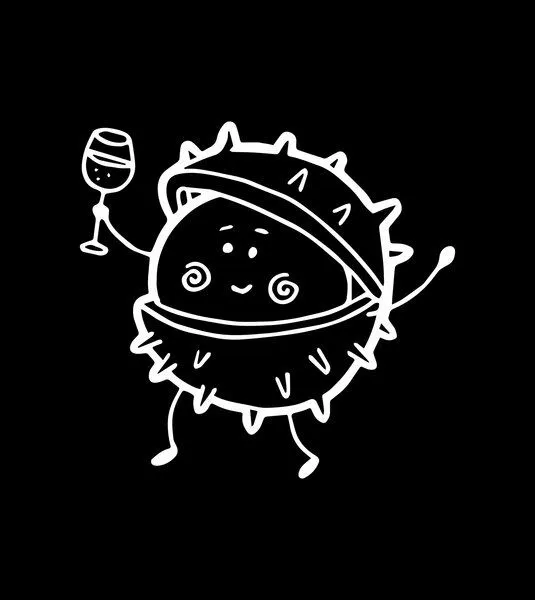 Gary Mash GARY MASH Shirt Asheville Kastanie aus Biobaumwolle, Schwarz, – Produktbild 4 von 4