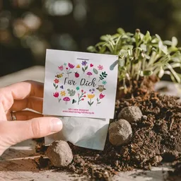 Ideenverlag Hamburg Ideenverlag Hamburg 10 x „Für Dich“ Samenbomben im Tütchen mit Wildblumensaatgut | Nachhaltiges Geschenk für Freunde, Kollegen & Lieblingsmenschen – Produktbild 1 von 1