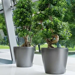 Lechuza® Lechuza® 'Classico 60', anthrazit, ca. Ø 60 x H 55,5 cm – Produktbild 1 von 1