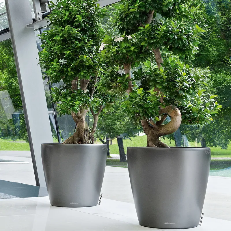 Lechuza® Lechuza® 'Classico 60', anthrazit, ca. Ø 60 x H 55,5 cm, Grau, – Produktbild 1 von 1