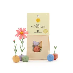 Die Stadtgärtner Die Stadtgärtner 8 Wildblumen-Saatkugeln als kreatives Geschenk | Geschenkidee für Geburtstage, als Dankeschön & für Sonnenschein-Momente – Produktbild 1 von 1