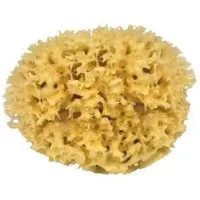 Croll & Denecke Croll & Denecke Naturschwamm in 3 Größen – Produktbild 1 von 1