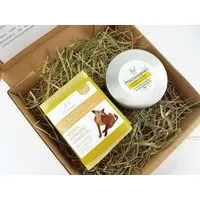 Küstenseifen Manufaktur Küstenseifen Manufaktur Bio-Hundepflege - Geschenk-Set: Bio-Hundeseife "Juckefips"/ Shampooseife / Fellseife für Hunde und Bio-Pfötchenbalsam – Produktbild 1 von 1