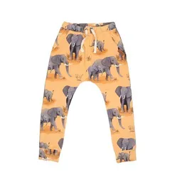 Walkiddy Kinder Jogger GOTS zertifiziert, orange, Elefanten-Allover „Elephant Family“, weich – Walkiddy – Produktbild 1 von 1