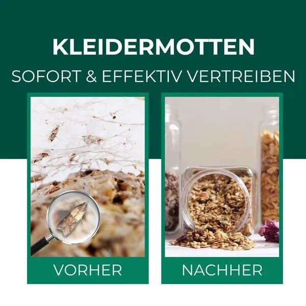 Silberkraft Silberkraft Lebensmittelmottenfallen, Pheromon-Leimfallen zur Befallsüberwachung von Lebensmittelmotten in Küche & Vorratsräumen inkl. E-Book – Produktbild 2 von 4