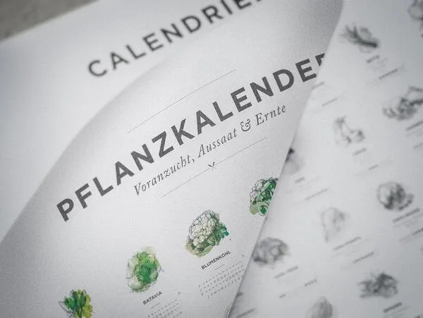 531 Rheinland Design 531 Rheinland Design Pflanzkalender und Aussaatkalender für den Garten – Produktbild 3 von 4