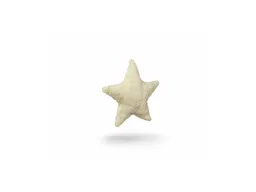 Senger Naturwelt Wärmekissen Stern vanille 24 x 4 x 25 cm – Produktbild 1 von 1